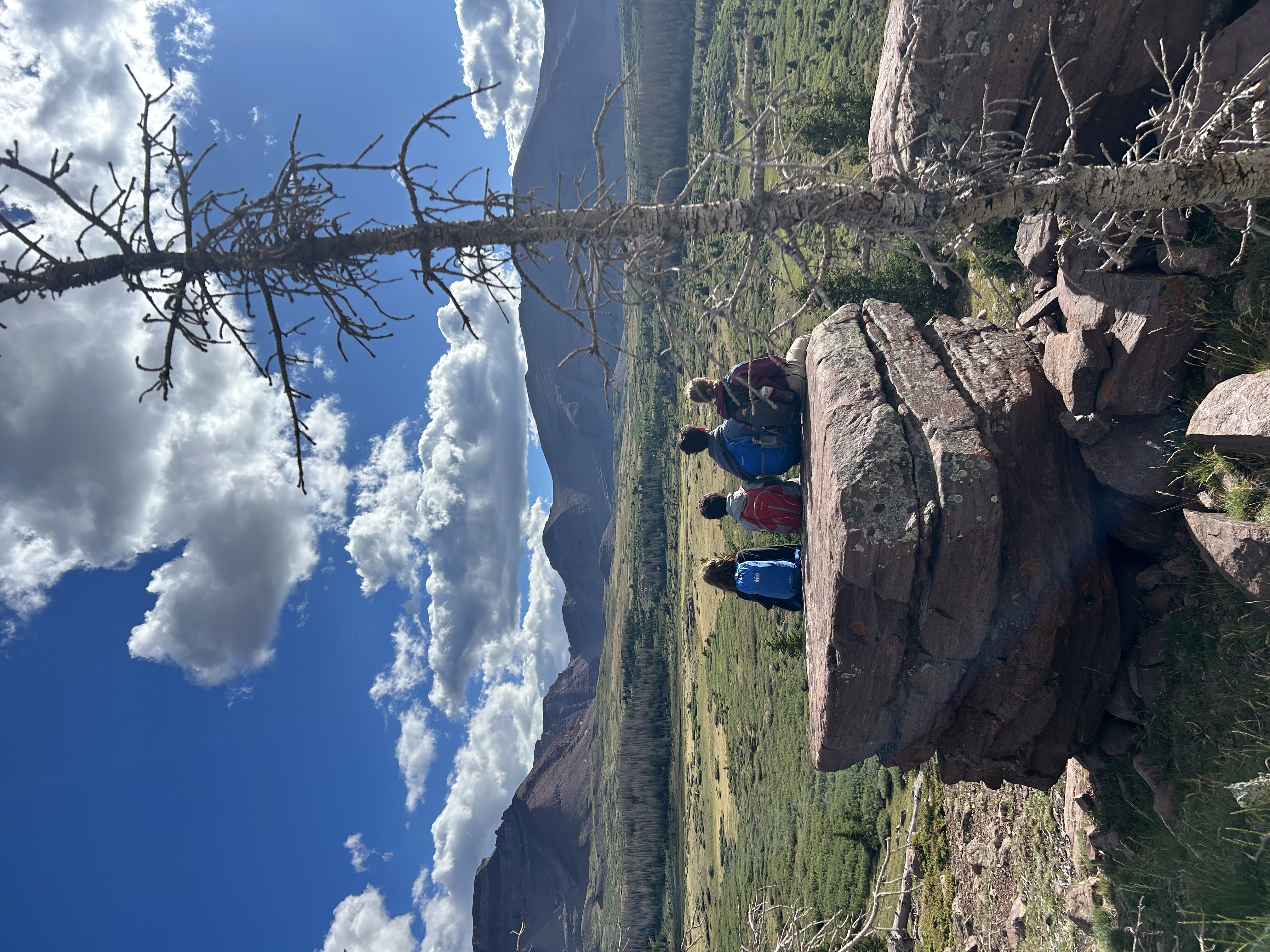 Four backpackers looking across an alpine valley